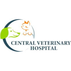 2021-11-CentralVet