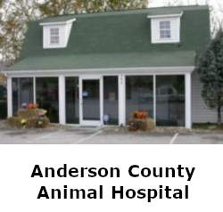 AndersonCountyAnimalHospital