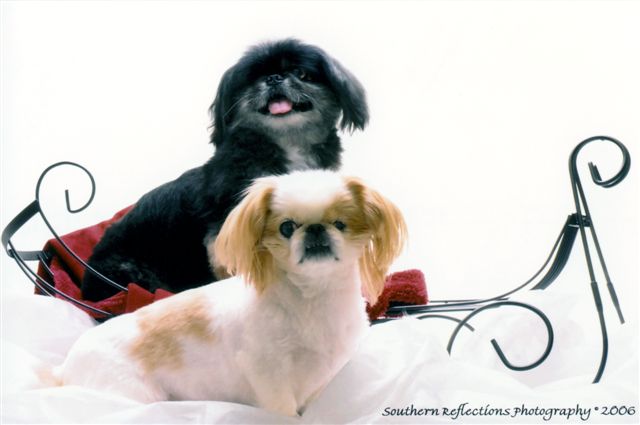 Lil'Bit and Maxie