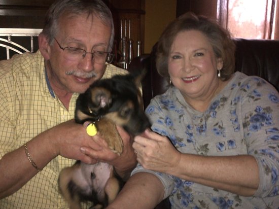 Dingo (formerly Comet) with his new family