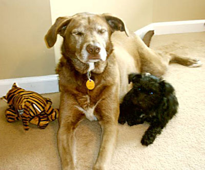 Milla and Sophie