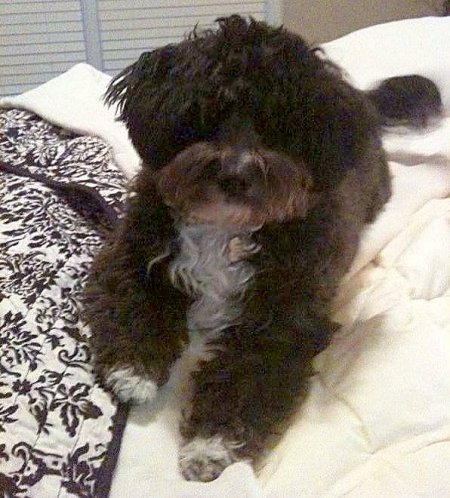 Beckley (formerly Zorro) - 2/23/2010