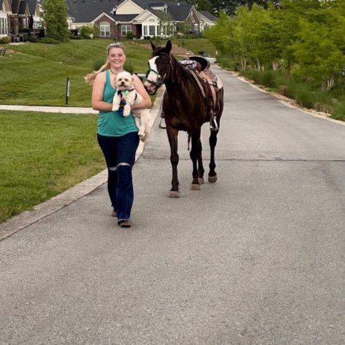 Foster Blooper When your foster pup is rescued by a Princess on horseback!
